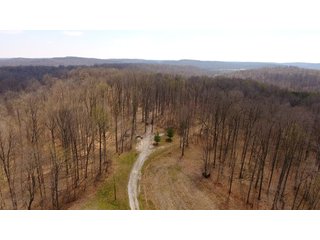 Property photo 6 - REAL ESTATE AUCTION - 1,013 ACRES IN 21 TRACTS IN MARTIN COUNTY, INDIANA